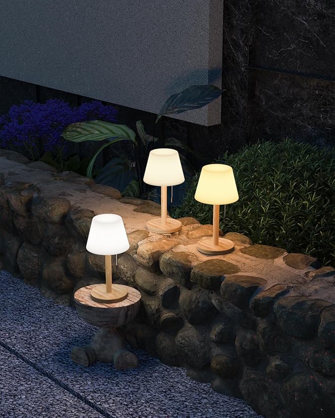 Outdoor Waterproof Table Lamp for Patio, Small Cordless Battery-Operated Lamp, Rechargeable Shower Light, 3 Lighting Modes Desk Light with Pull Chain Garden Outside Camping Bathroom, Wood Grain