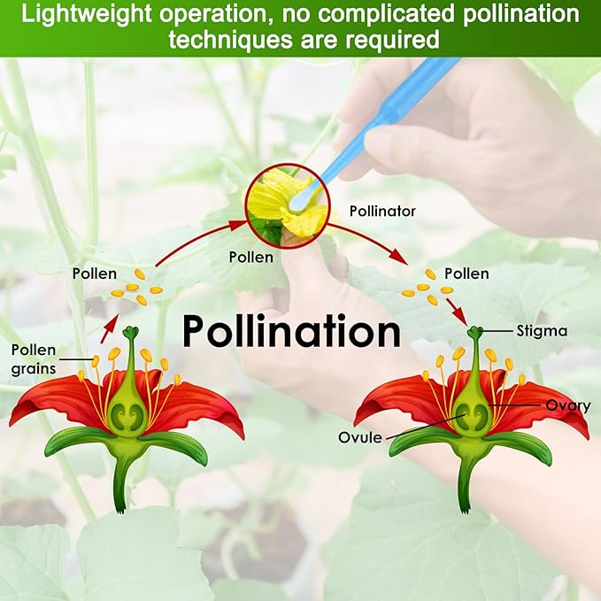 M METERXITY 200-Pack Pollinator Brush, 0.1inch/2.5mm Plastic Vegetable Pollinator Pen Manual Pollination Tool for Gardening/Greenhouse/Hydroponic Plants/Flower [Light Blue]