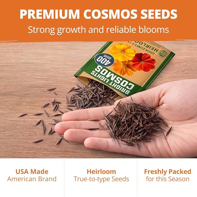 HOME GROWN Cosmos Bright Lights Mix Seeds – 400 Cosmos Sulphureus for Planting Spring 2026, Refined Wildflower Herb Seed Mix, Easy Grow Outdoor Flower Seeds for Gardens