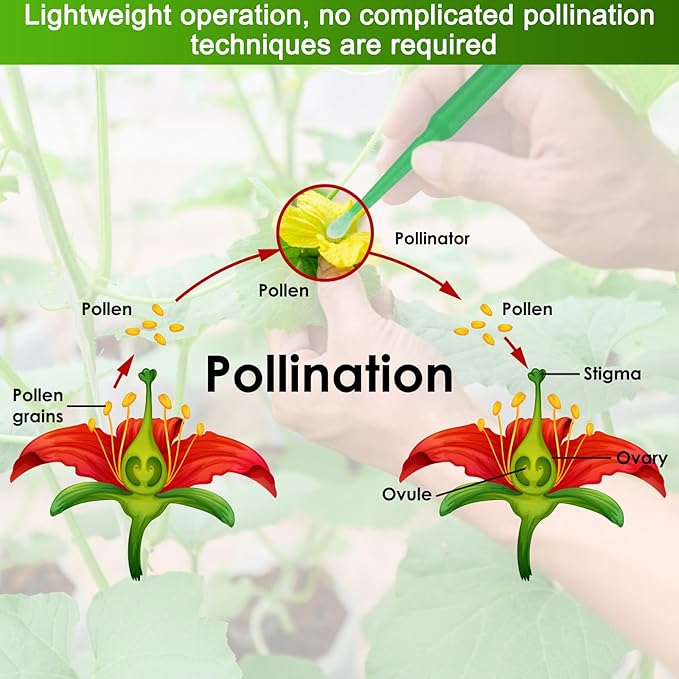 M METERXITY 200-Pack Pollinator Brush, 0.08inch/2mm Plastic Vegetable Pollinator Pen Manual Pollination Tool for Gardening/Greenhouse/Hydroponic Plants/Flower [Dark Green]