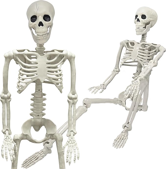 36" Skeleton Halloween Decorations, 3FT Realistic Full Body Movable Posable Joints Skeleton, Creepy Halloween Plastic Skeleton for Graveyard Decorations, Haunted House Props Indoor/Outdoor Decor