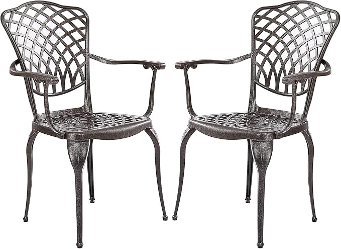 2-Piece Outdoor Dining Chairs,Super Stable Cast Aluminum Chairs with Armrest,2-Pack Patio Armchairs for Garden, Backyard,All-Weather Resistant Outdoor Dining Furniture, Brown