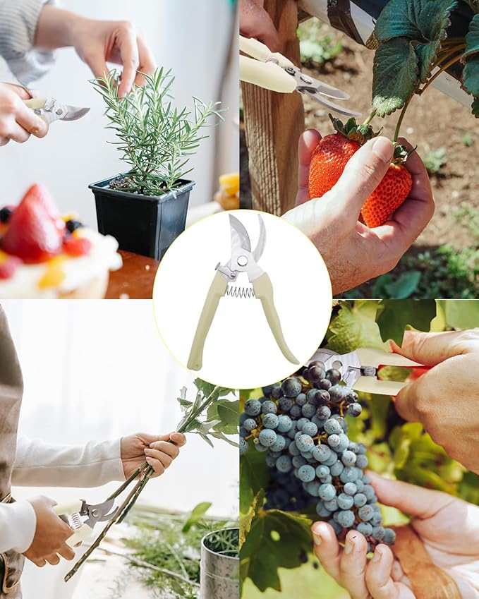 Pruning Shears for Gardening, 4 Pack Garden Scissors for Cutting Fresh Flowers, Floral Clippers for Plants, Fruits (Yellow)