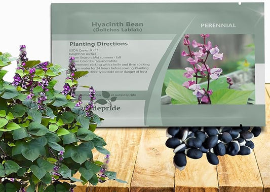 Outsidepride Green Lablab Hyacinth Bean Vine Seeds - 200 Pcs Perennial, Fast Growing Vegetable Seeds for Planting with Fragrant Foliage for Garden & Edible Flower and Pods for Culinary Uses