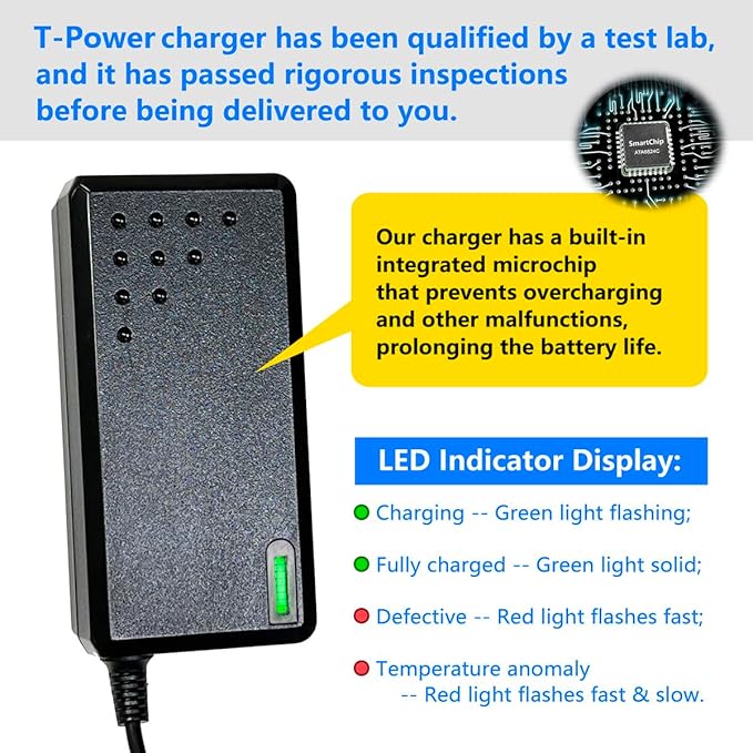 T POWER 42V Charger for Homdox H24 H2G H2BL2 M5233 5324-BL1 Bergwerk Teande Pro Pressure Washer Gun WEC-26WUAP - 42000050AA Dc Ac Adapter Class 2 Power Supply