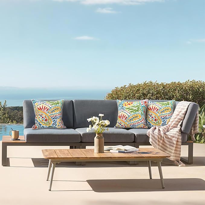 LVTXIII Outdoor/Indoor Throw Pillows, Decorative Patio Accent Pillows, Fluffy Water Repellent Garden Cushions for Home Patio Coach Sofa Use, 18×18 Inch, Pack of 2, Paisley Multi