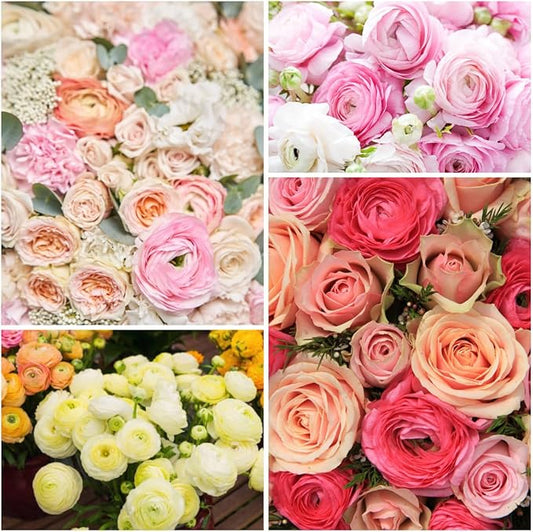 5+ Mixed Color Ranunculus Bulbs, Assorted Rainbow of Double Blooms, Spring Flowering Bulbs Wedding Flower Bulbs for Garden Beds, Borders, Cut Flowers & Container Gardening