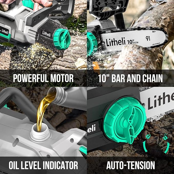 Litheli 10 Inch Chainsaw, 20V Cordless Electric Chain Saw, with 4.0Ah Lithium Battery & Charger, for Branch Cutting,Tree Pruning, Yard, Garden