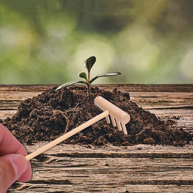 YARNOW 36 Pcs Mini Zen Garden Rakes Bulk, Miniature Sand Rake for Tabletop Meditation and Decorative Sandbox Accessories
