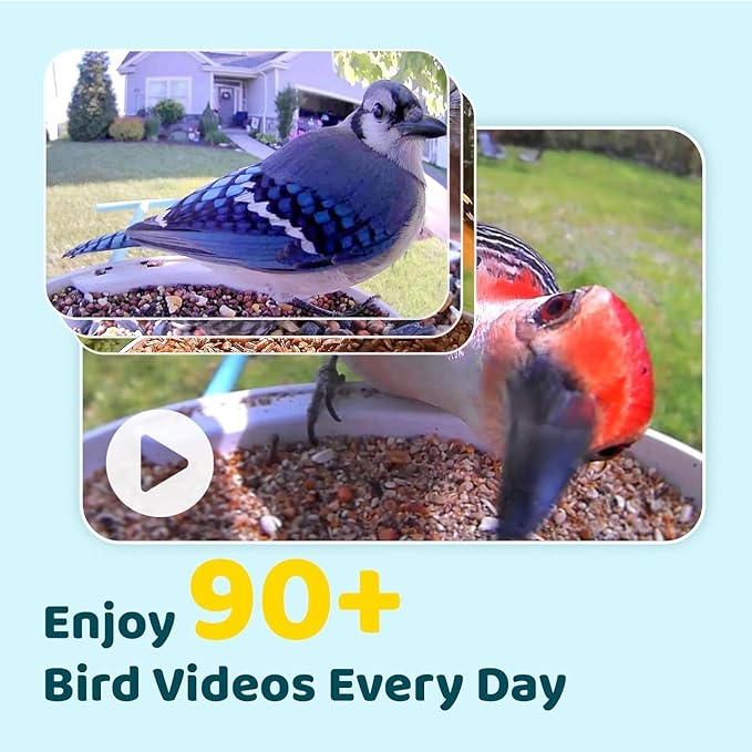 Birdfy Smart Bird Feeder with Camera Solar Power, Smart AI Birdwatching Camera, Auto Capture & Notify, Clear Day & Color Night Video & Pictures, Ideal Gift for Lover