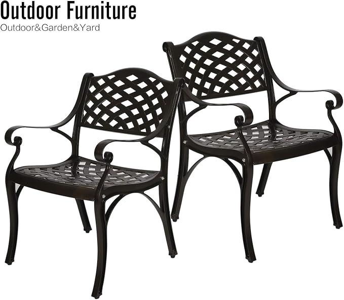 YUSING Outdoor Dining Chairs Set of 2, Cast Aluminum Metal Arm Chairs for Kitchen, Garden, Backyard