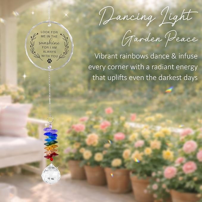 Pet Memorial Suncatcher Look for me in the Sunshine - Dog Memorial Gifts - Pet Loss - Thoughtful Dogs and Cats Remembrance - Pet Sympathy - Crystal Bereavement Gift