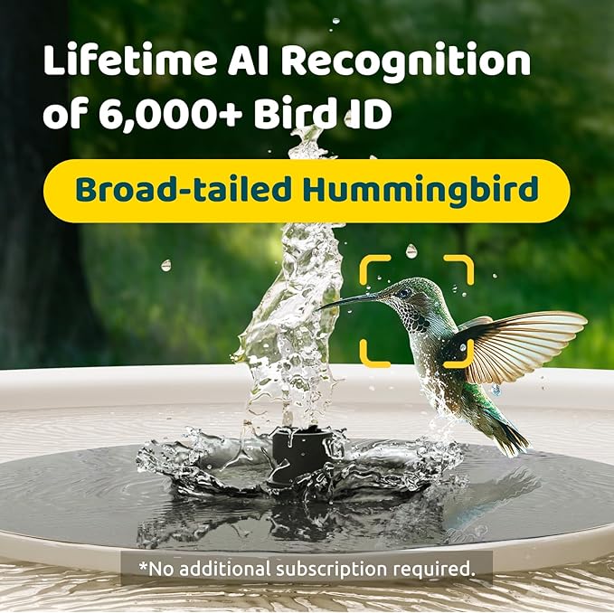 Birdfy Smart Bird Bath with Camera Solar Powered & Solar Fountain & Stand, Dual-Lens Camera for Bird Watching, Auto Capture Bird Videos & AI Identify, Ideal Present for Bird Lover