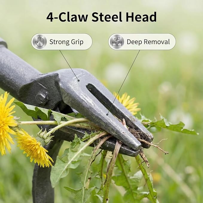 Stand Up Weeder Tool with Long Handle – Heavy Duty Manual Weed Puller – Root Remover Tool with 4-Claw Steel Head – Ergonomic Garden Weeding Tool for Lawn & Yard – No-Bend Dandelion Puller & Extractor