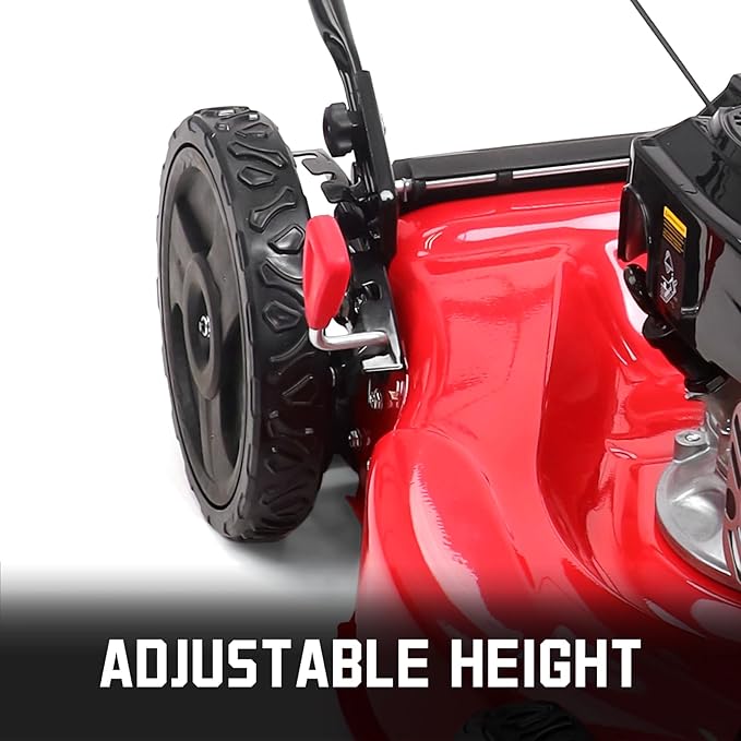 PowerSmart 21 in. Gas Lawn Mower with 125cc Briggs and Stratton E300 Engine, 2-in-1 Push Mower with Mulching & Side-Discharge, 6-Point Height of Cut