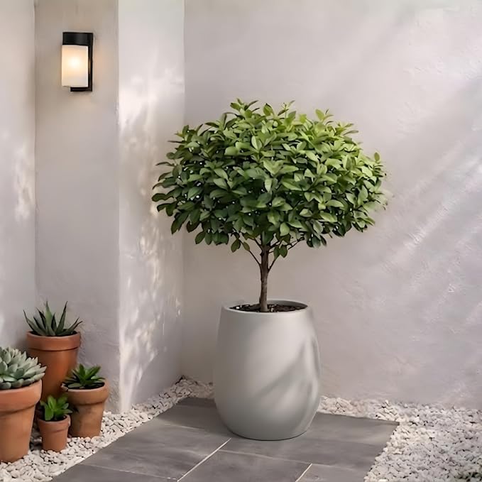 KUTE NEST 12.5" H x 11.4" D Premium Corso Fiberstone Round Tapered Planter with Drainage Hole, Smooth Finishes, Weather Resistant, Included 2 Extra Coco Mats (Light French Gray, 9" Pot Opening)