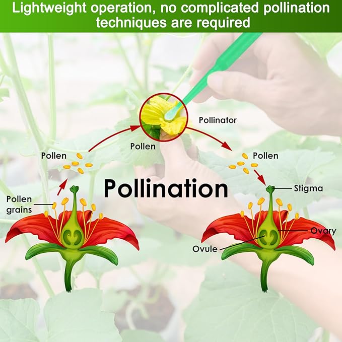 M METERXITY 200-Pack Pollinator Brush, 0.08inch/2mm Plastic Vegetable Pollinator Pen Manual Pollination Tool for Gardening/Greenhouse/Hydroponic Plants/Flower [Light Green]