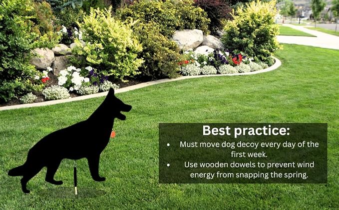 Lone Dog Decoy - Predator Decoys, Repellent for Geese, Deer - Goose Deterrent, Dog Decoy to Keep Away Pests - Predator Replica Visual Scare Device