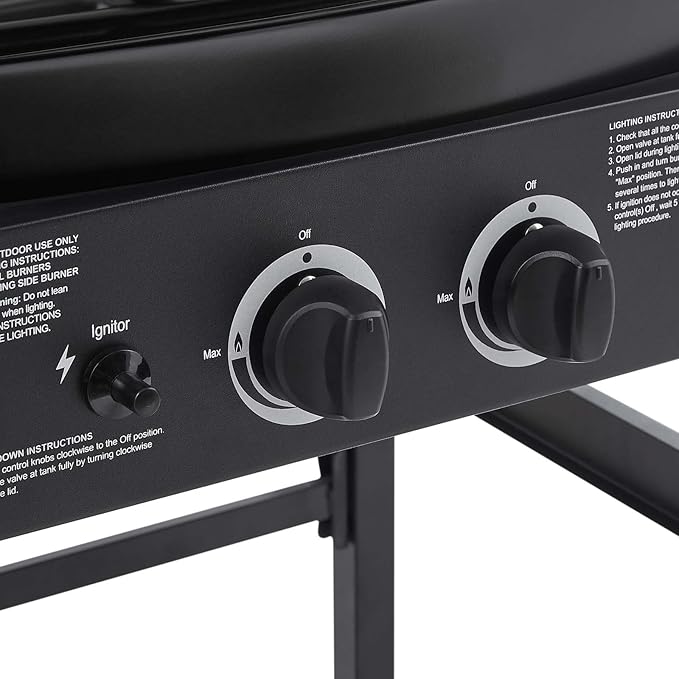 2-Burner Propane Gas BBQ Grill with Side Burner, 24,000 BTU Stainless Steel Barbecue Grill with Cast Iron Grates and Side Table for Outdoor Cooking Kitchen Patio