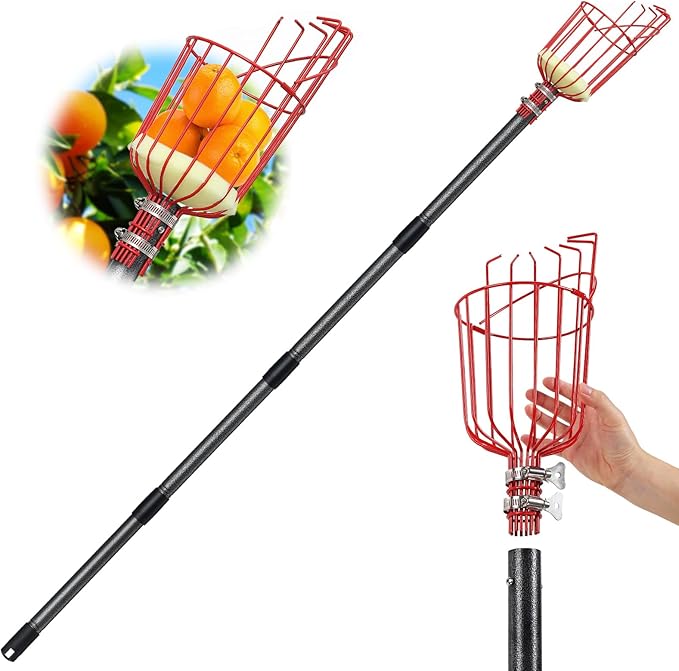 13FT Fruit Picker, Long Reach Fruit Picker Tool with Basket & Adjustable Stainless Steel Handle, Fruit Grabber for Apple Mango Avocado Orange Lemon, Easy Assembly & No Ladder Needed for Tall Tree