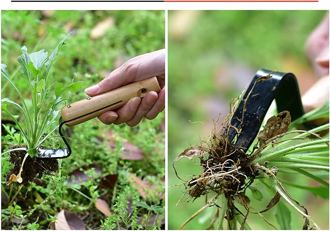 Z-Shape Weed Puller Manual Weeders Weed Puller Hand Tool Manual Root Lifter for Gardening & Farming - Premium Plant Transplant Gardening or Remove Dandelions, Thistles (Stainless Steel)