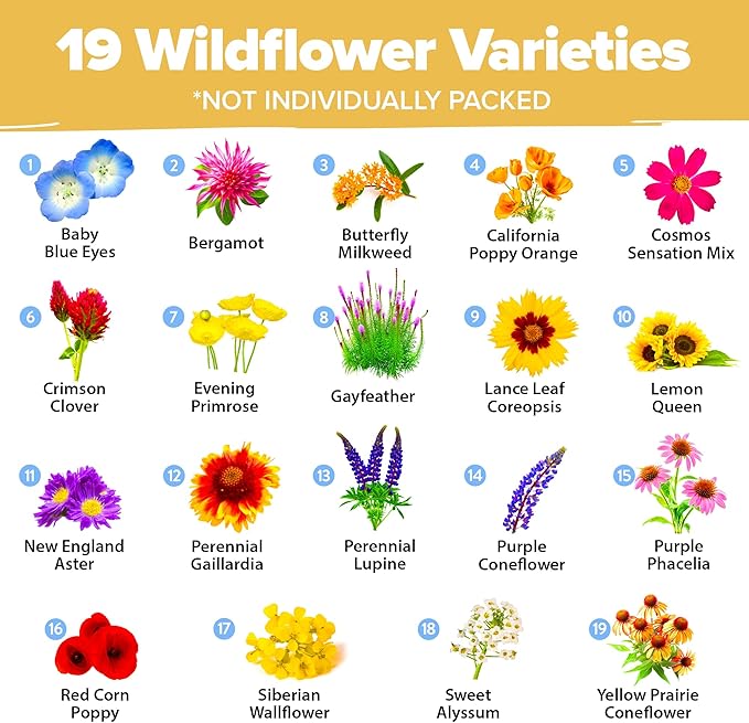 HOME GROWN Wildflower Seed Mix – 89,000+ Pure USA Flowers | No Filler Bulk Supply for Outdoor Planting | 19 Perennial & Annual Varieties | Butterfly Garden | 3 oz