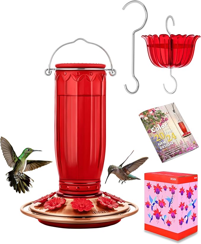 iBorn Glass Hummingbird Feeder for Outdoors Hanging Ant and Bee Proof Ant Moat for Hummingbird Feeder 8 Ports for 16oz Hummingbird Nectar,Brushed Copper Base Red Glass, Pack of 1, 2024 New
