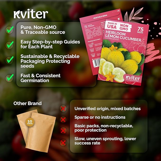 KVITER 75 Lemon Cucumber Seeds (Cucumis Sativus) - Yellow Garden Lemon Seed Packets, Mild Flavor, Heirloom Seed - Vegetable Seeds for Outdoor Home Garden, Raised Beds, Ideal for Pickling & Salads