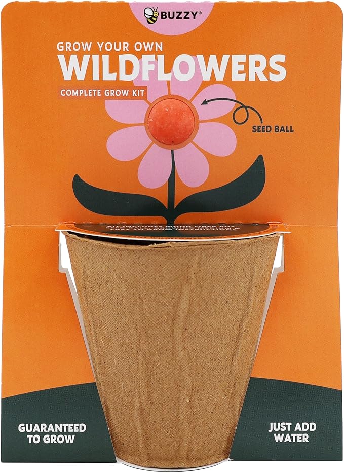BUZZY Seeds Wildflower Seed Ball Cup 6-Pack – Over 50 Seeds Per Ball, Colorful Decorative Seed Balls in Biodegradable Cups with Growing Medium – Indoor Gardening Gift Set