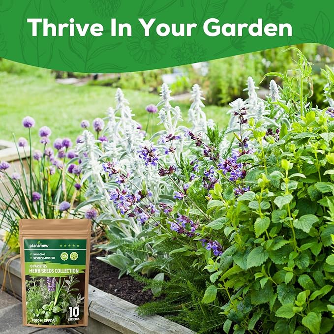 10 Herb Seeds Variety Pack - 7,000+ Heirloom Seeds - Basil, Cilantro, Lavender, Parsley, Dill, Thyme, Chives, Oregano, Sage, Herb Garden Kit for Planting Home Garden, Gardening Gift