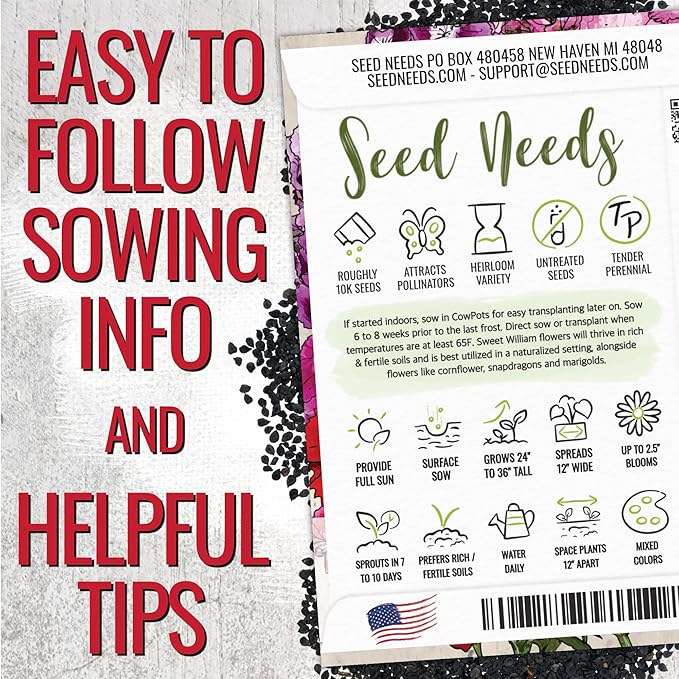 Seed Needs Sweet William Seeds for Planting Dianthus Flowers - Heirloom & Open Pollinated Annual Wildflower Seed Mix to Attract Butterflies, Bees & Other Pollinators to a Butterfly Garden (XL Pack)