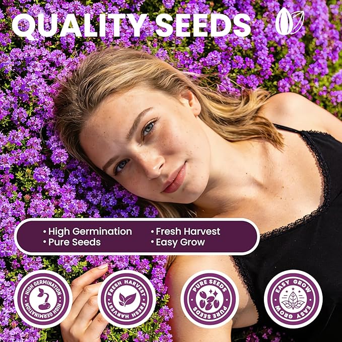 20000+pcs Creeping Thyme Seeds for Planting, Perennial Ground Cover Plants Flowers Seeds Fragrant Herb Seeds for Lawns & Paths Garden