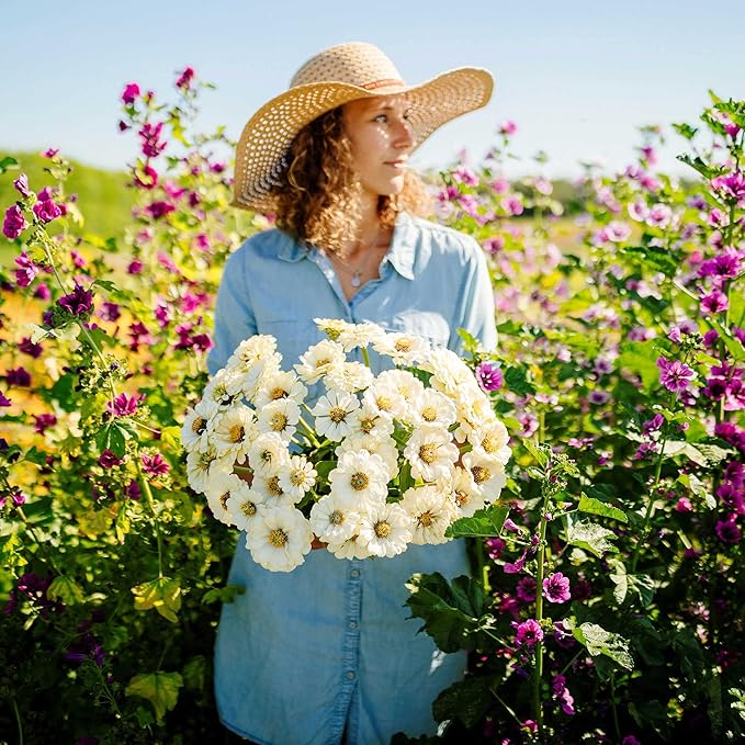 Eden Brothers Zinnia Seeds - Polar Bear, Non-GMO Seeds for Planting, Packet | Low-Maintenance Flower Seeds, Plant During Spring, Zones 3, 4, 5, 6, 7, 8, 9, 10