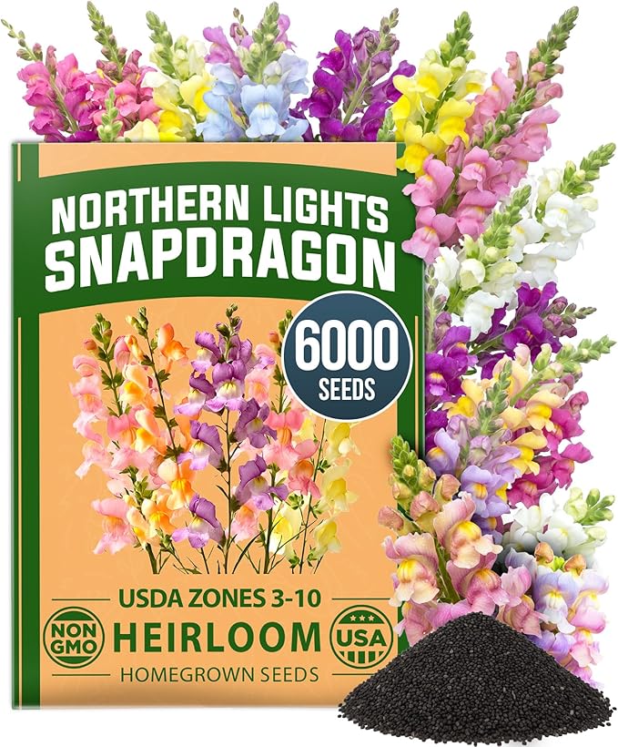 HOME GROWN Northern Lights Snapdragon Seeds (~6,000) – Lavender, Pink, Peach & Yellow Pastel Mix Flower Seeds, Cool Season Cut Flowers, Heirloom Non-GMO Antirrhinum majus for Beds, Borders & Bouquets
