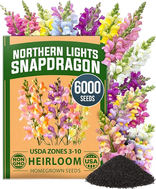 HOME GROWN Northern Lights Snapdragon Seeds (~6,000) – Lavender, Pink, Peach & Yellow Pastel Mix Flower Seeds, Cool Season Cut Flowers, Heirloom Non-GMO Antirrhinum majus for Beds, Borders & Bouquets