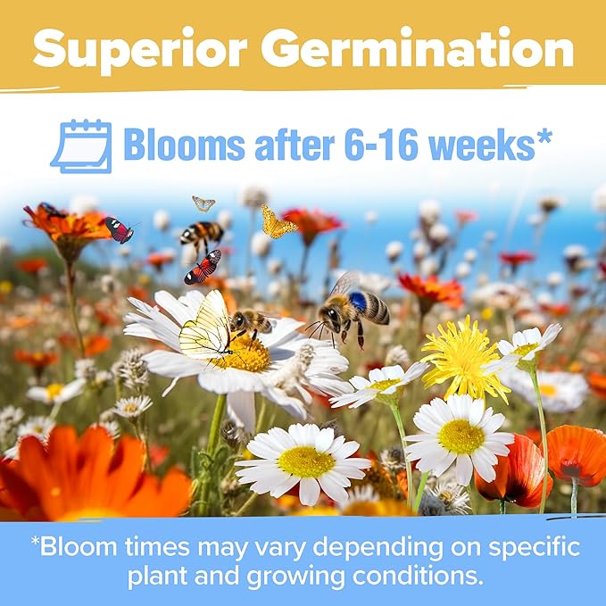 HOME GROWN Wildflower Seed Mix – 89,000+ Pure USA Flowers | No Filler Bulk Supply for Outdoor Planting | 19 Perennial & Annual Varieties | Butterfly Garden | 3 oz
