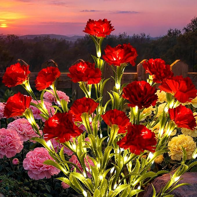 GIGALUMI Solar Lights Outdoor for Garden Decor, 2 Pack Solar Flower Lights Waterproof, 2 Lighting Modes 14 Carnations for Pathway,Yard, Patio Decoration, Gardening Gifts for Women (Red)