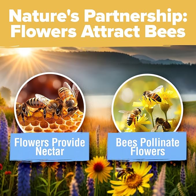 HOME GROWN Wildflower Seed Mix – 89,000+ Pure USA Flowers | No Filler Bulk Supply for Outdoor Planting | 19 Perennial & Annual Varieties | Butterfly Garden | 3 oz