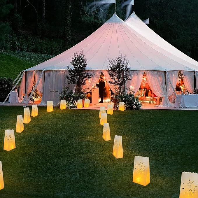 AceList 30 PCS Luminary Bags with 30 PCS Flameless Candles Tea Lights for Wedding, Birthday, Party, Christmas Decorations(Fireworks)