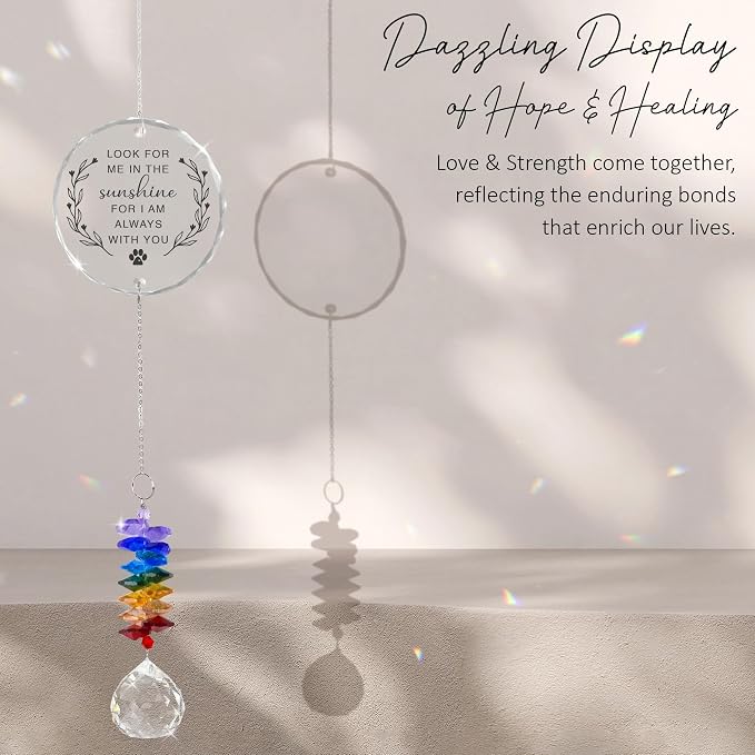 Pet Memorial Suncatcher Look for me in the Sunshine - Dog Memorial Gifts - Pet Loss - Thoughtful Dogs and Cats Remembrance - Pet Sympathy - Crystal Bereavement Gift