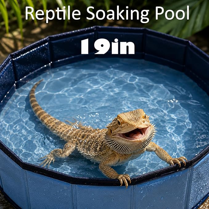 Eooqi Foldable Bearded Dragon Bathtub, Collapsible Reptile Bath Pool & Small Pet Water Tub, Portable Hard-Side Reptile Swimming Pool for Bearded Dragons, Hedgehogs and Hamsters (Blue, 19 x 3.5 in)
