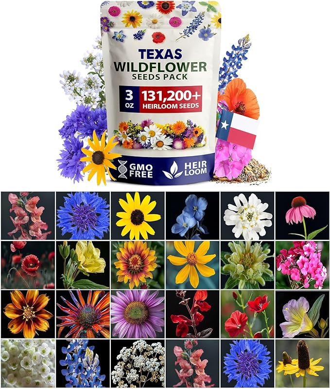 HOME GROWN Texas Wildflower Seeds Bulk Mix | 131,200+ Pure USA Grown Perennial Flower Seed for Planting | 22 Varieties for Birds & Butterflies Garden | 3 oz