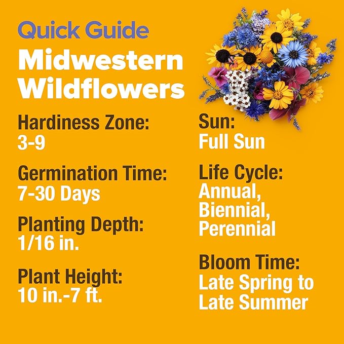 HOME GROWN Midwest Wildflower Seeds Mix | 65,000+ Heirloom Perennial Flower Seed for Attracting Bees, Birds & Butterflies | High Germination Bulk Planting | 4 oz