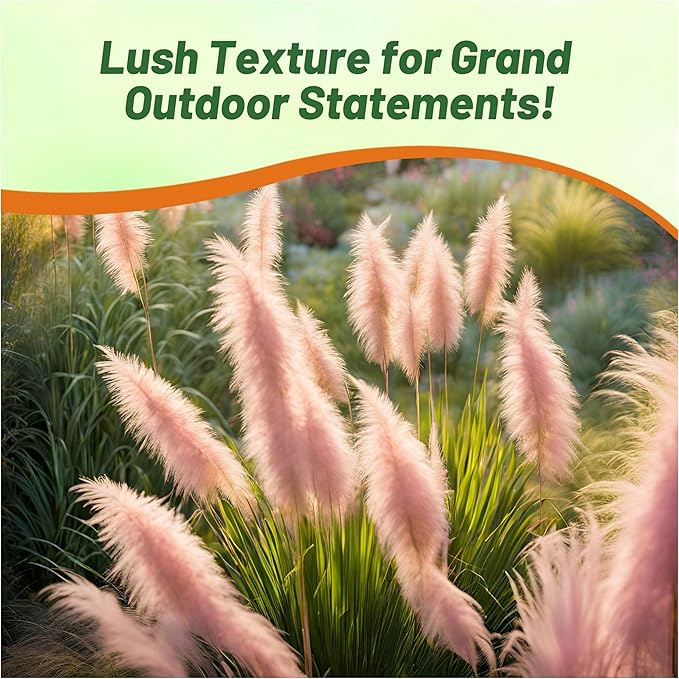 Outsidepride Pink Pampas Grass Seeds – 2,000 Pcs. Perennial, Drought-Tolerant Ornamental Grass for Large Garden Borders, Privacy Landscaping, Xeriscaping, and Low-Maintenance Outdoor Spaces