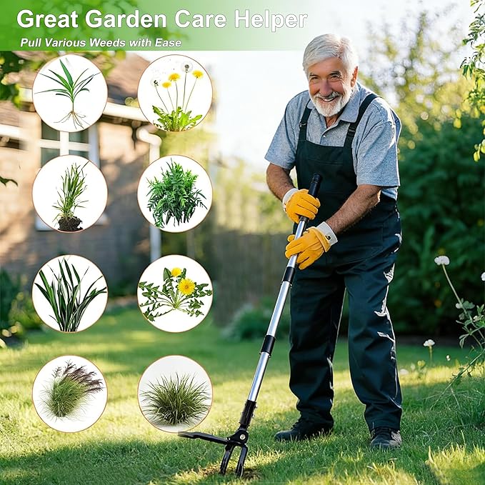 Weed Puller Tool Stand Up Hand Weeder Tool with Adjustable Long Handle, Weed Remover with Steel Head, Remove Weeds Root Easily without Bending, Pulling or Kneeling for Lawn Yard Garden(6 CLAWS)