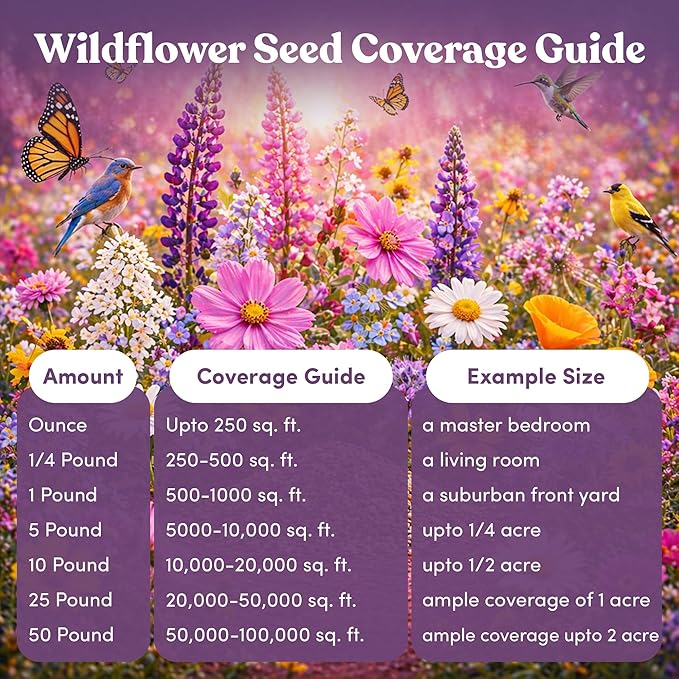 Bulk Wildflower Seed - Bird & Butterfly Garden Seed Mix | Bulk 300,000+ Annual & Perennial Flower Seeds for Planting - Attracts Hummingbirds & Butterfly | No Messy Bags or Packets | Bulk 1 Pound Jar