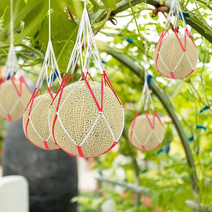 60Pcs Melon Hammocks Cradles, 10Inches Melon Hammock for Trellis Heavy Duty Watermelon Nets, Support Hanging Bags for Pumpkin Cantaloupes Honeydew, 10In Bag 12in Handle, Bear for 30lbs