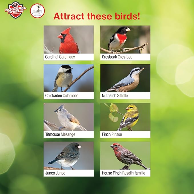Nature's Way Bird Products Squirrel Shield Choice Tube Feeder