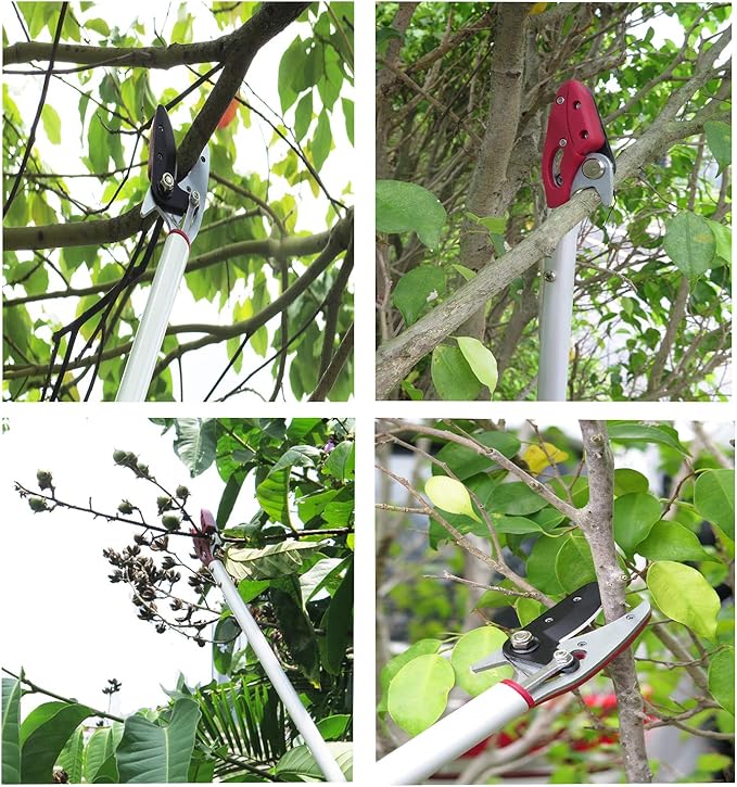 4FT Long Reach Pruner and Fruit Picker with Cut & Hold Feature, Lightweight 1.1lb Aluminum Pole with 90° Rotating Head, High Carbon Steel Sharp Blade, Ergonomic Tree Trimmer for High Branches