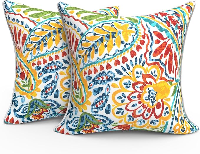 Outdoor Throw Pillow Covers Pack of 2, Decorative Water Repellent Square Pillow Cases with Piping 18x18 Inch, Paisley Multi